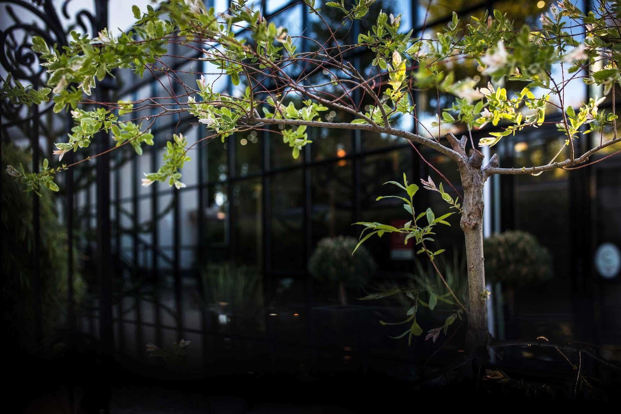 Maison Decoret - Relais & Chateaux Vichy Eksteriør billede